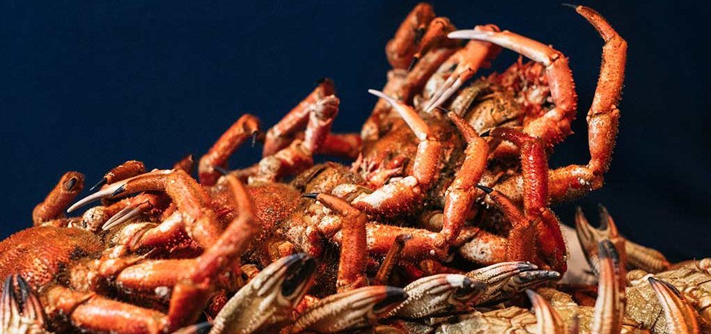 tipos de pescados y mariscos