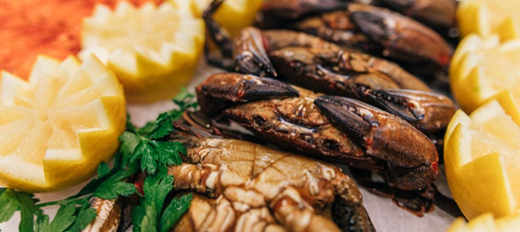 como-cocer-necoras