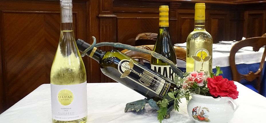 vinos-godello