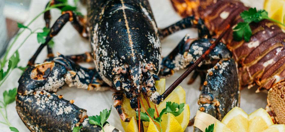 diferencia-entre-langosta-y-bogavante