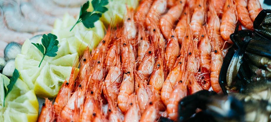 camarones-marisco